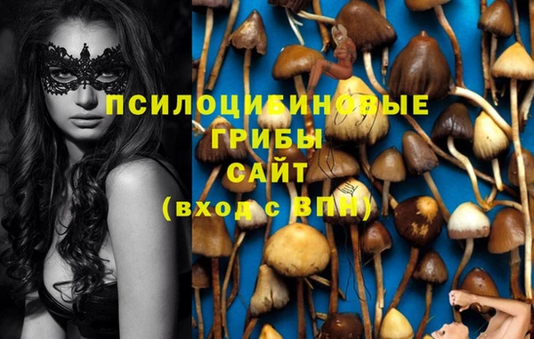 не бодяженный Белокуриха