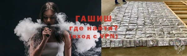 сатива Беломорск