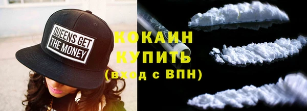 сатива Беломорск