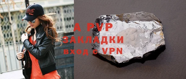 сатива Беломорск