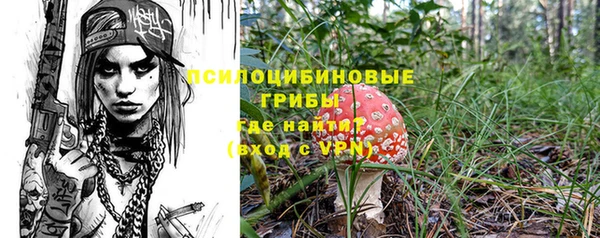 не бодяженный Белокуриха